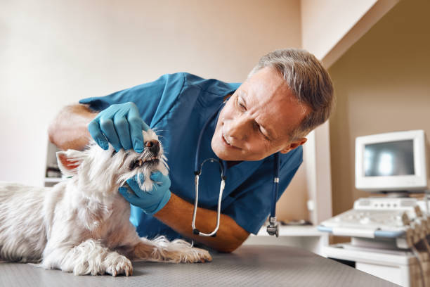 Best Broken Tooth Emergency  in East Richmond Heights, CA