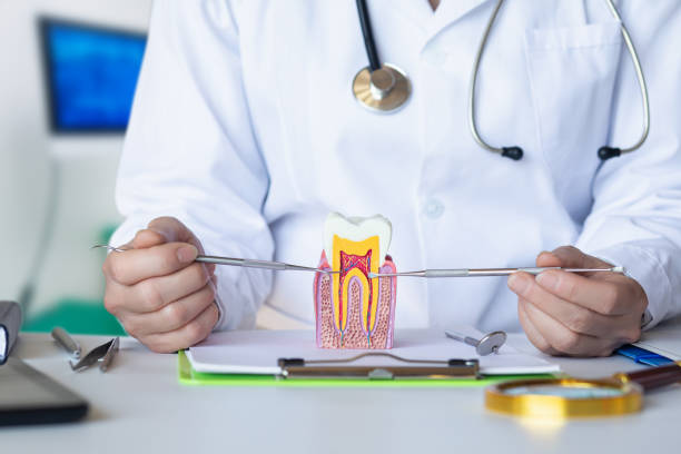 Best Root Canal Emergency Dentist  in East Richmond Heights, CA